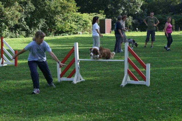 agility 2011-08